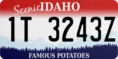 ID license plate 1T3243Z