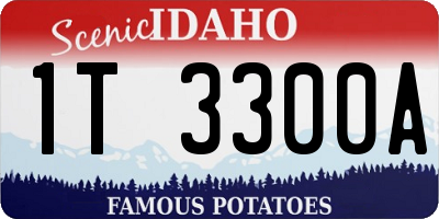 ID license plate 1T3300A