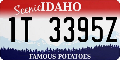 ID license plate 1T3395Z