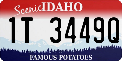 ID license plate 1T3449Q