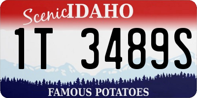 ID license plate 1T3489S