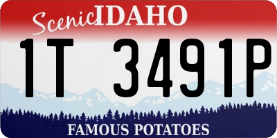 ID license plate 1T3491P