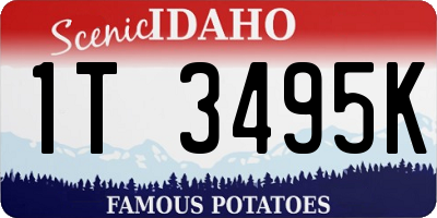 ID license plate 1T3495K