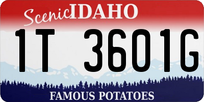 ID license plate 1T3601G