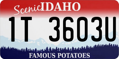 ID license plate 1T3603U