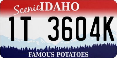 ID license plate 1T3604K
