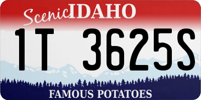 ID license plate 1T3625S
