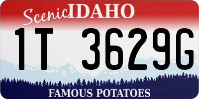 ID license plate 1T3629G