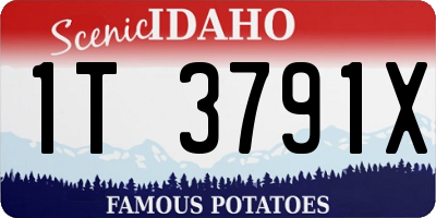 ID license plate 1T3791X