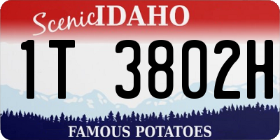 ID license plate 1T3802H