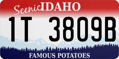 ID license plate 1T3809B
