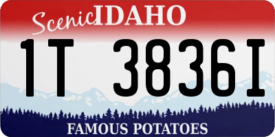 ID license plate 1T3836I
