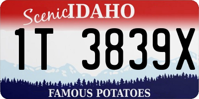 ID license plate 1T3839X