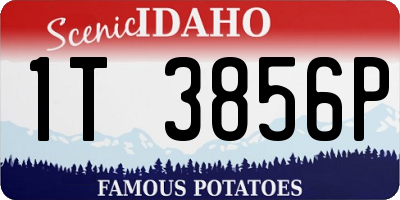 ID license plate 1T3856P