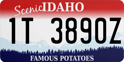 ID license plate 1T3890Z