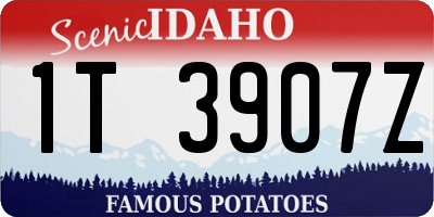 ID license plate 1T3907Z
