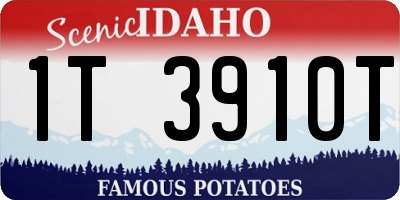 ID license plate 1T3910T