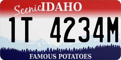 ID license plate 1T4234M
