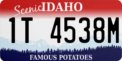 ID license plate 1T4538M