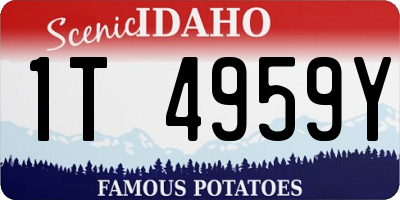 ID license plate 1T4959Y