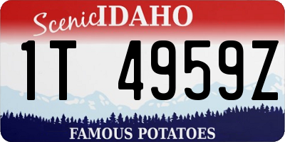 ID license plate 1T4959Z
