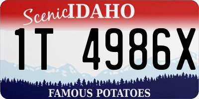 ID license plate 1T4986X