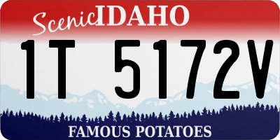 ID license plate 1T5172V
