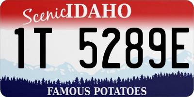 ID license plate 1T5289E