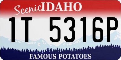 ID license plate 1T5316P