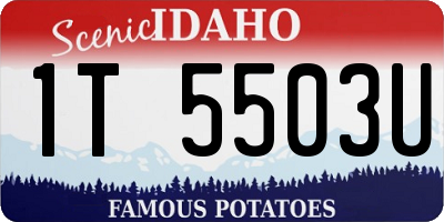 ID license plate 1T5503U