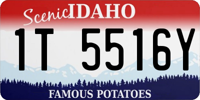 ID license plate 1T5516Y
