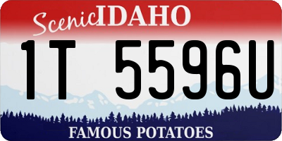 ID license plate 1T5596U