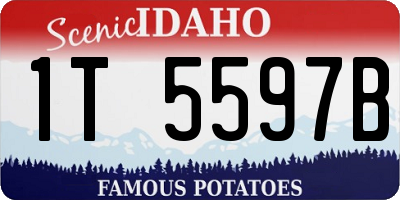 ID license plate 1T5597B