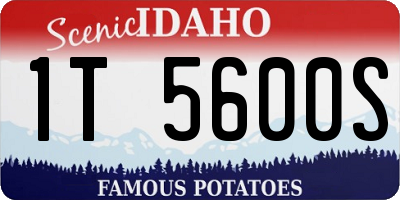 ID license plate 1T5600S