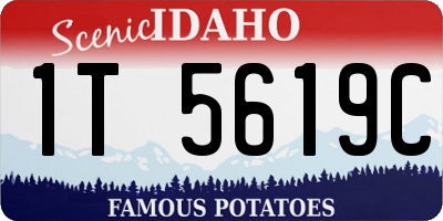ID license plate 1T5619C