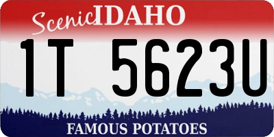 ID license plate 1T5623U