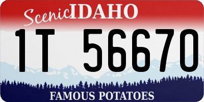 ID license plate 1T5667O