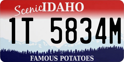 ID license plate 1T5834M