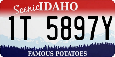 ID license plate 1T5897Y