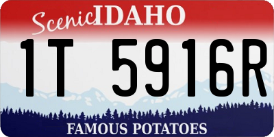 ID license plate 1T5916R