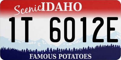 ID license plate 1T6012E
