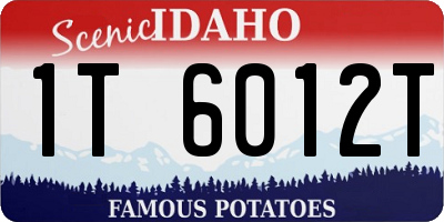 ID license plate 1T6012T