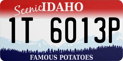 ID license plate 1T6013P