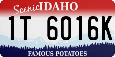 ID license plate 1T6016K