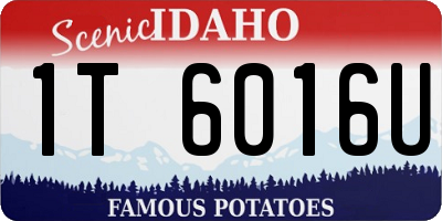 ID license plate 1T6016U