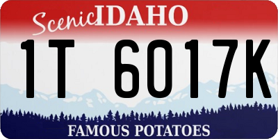 ID license plate 1T6017K