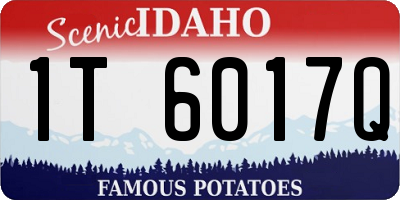 ID license plate 1T6017Q