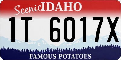 ID license plate 1T6017X