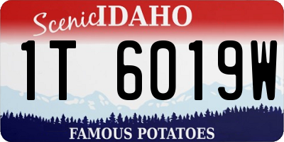 ID license plate 1T6019W