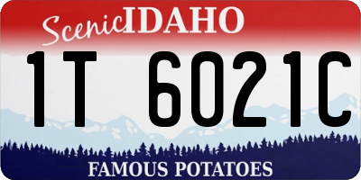 ID license plate 1T6021C